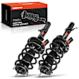 APSA2040 Front Complete Strut & Coil Spring Assembly, Set of 2