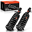 APSA2041 Front Complete Strut & Coil Spring Assembly, Set of 2