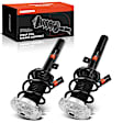 APSA2043 Front Complete Strut & Coil Spring Assembly, Set of 2