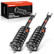 APSA2057 Front Complete Strut & Coil Spring Assembly, Set of 2
