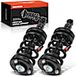 APSA2059 Front Complete Strut & Coil Spring Assembly, Set of 2