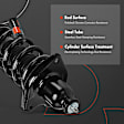 APSA2066 Rear Complete Strut & Coil Spring Assembly, Set of 2