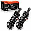 APSA2068 Rear Complete Strut & Coil Spring Assembly, Set of 2