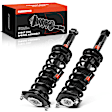 APSA2076 Rear Complete Strut & Coil Spring Assembly, Set of 2