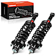 APSA2094 Rear Complete Strut & Coil Spring Assembly, Set of 2