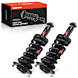 APSA2096 Rear Complete Strut & Coil Spring Assembly, Set of 2