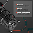 APSA2117 Front Complete Strut & Coil Spring Assembly, Set of 2