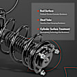 APSA2118 Front Complete Strut & Coil Spring Assembly, Set of 2