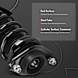 APSA2121 Rear Complete Strut & Coil Spring Assembly, Set of 2