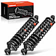 APSA2126 Front Complete Strut & Coil Spring Assembly, Set of 2