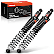 APSA2127 Rear Complete Strut & Coil Spring Assembly, Set of 2