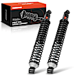 APSA2133 Rear Complete Strut & Coil Spring Assembly, Set of 2