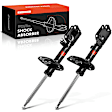 APSA2195 Rear Shock Absorber, Set of 2