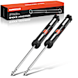 APSA2239 Rear Shock Absorber, Set of 2