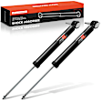 APSA2251 Rear Shock Absorber, Set of 2
