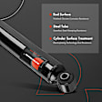 APSA2255 Front Shock Absorber, Set of 2