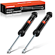 APSA2266 Rear Shock Absorber, Set of 2