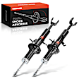 APSA2290 Front Shock Absorber, Set of 2