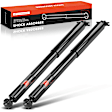 APSA2303 Rear Shock Absorber, Set of 2