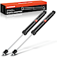 APSA2316 Rear Shock Absorber, Set of 2