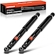 APSA2321 Rear Shock Absorber, Set of 2