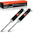 APSA2402 Rear Shock Absorber, Set of 2