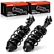 APSA2409 Front Complete Strut & Coil Spring Assembly, Set of 2