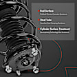 APSA2448 Front Complete Strut & Coil Spring Assembly, Set of 2