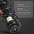 APSA2462 Front Complete Strut & Coil Spring Assembly, Set of 2