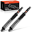 APSA2484 Rear Shock Absorber, Set of 2