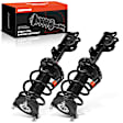 APSA2491 Front Complete Strut & Coil Spring Assembly, Set of 2