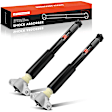 APSA2513 Rear Driver & Passenger Shock Absorber, Set of 2