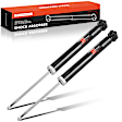 APSA2521 Rear Driver & Passenger Complete Shock Absorber, Set of 2