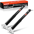 APSA2525 Rear Driver & Passenger Shock Absorber, Set of 2