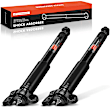 APSA2541 Rear Driver & Passenger Shock Absorber, Set of 2