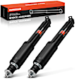 APSA2544 Front Shock Absorber, Set of 2