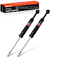 APSA2555 Rear Suspension Shock Absorber, Set of 2