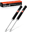 APSA2556 Rear Suspension Shock Absorber, Set of 2