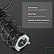 APSA2561 2 Pcs Complete Strut and Coil Spring Assembly