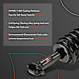 APSA2587 2 Pcs Complete Strut and Coil Spring Assembly