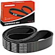 APSBT004 60.43 Inch Serpentine Belt