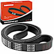 APSBT019 46.85 Inch Alternator & Air Conditioning Serpentine Belt