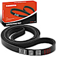 APSBT061 53.95 Inch Serpentine Belt