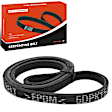 APSBT075 61.01 Inch Serpentine Belt