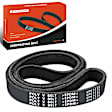 APSBT099 48.59 Inch Serpentine Belt
