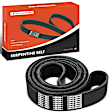 APSBT1002 97.64 inch Accessory Drive Heavy Duty Serpentine Belt