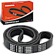 APSBT101 49.45 Inch Serpentine Belt