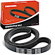 APSBT144 77 Inch Serpentine Belt