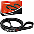 APSBT203 95.02 Inch Serpentine Belt