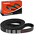 APSBT205 96.01 Inch Serpentine Belt